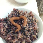 写真 2015-04-14 12 01 21