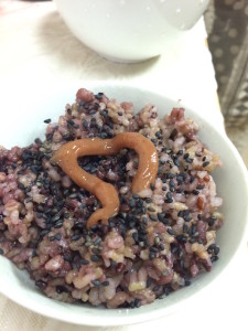 写真 2015-04-14 12 01 21