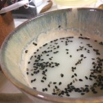 写真 2015-04-11 18 57 38