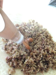 写真 2015-04-11 12 44 29