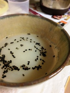 写真 2015-04-11 8 43 23