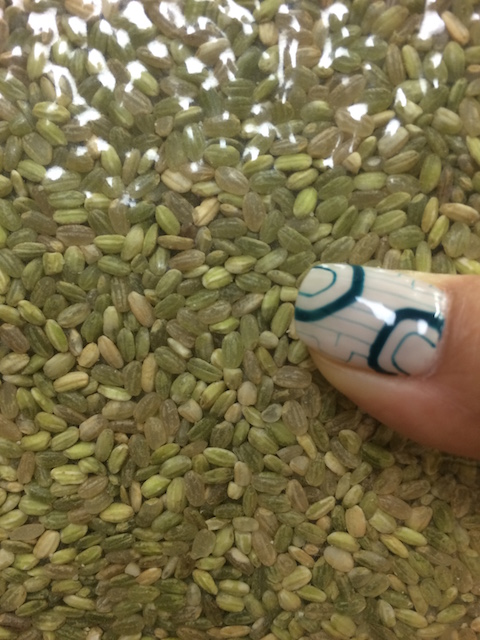 seme えめらるど米